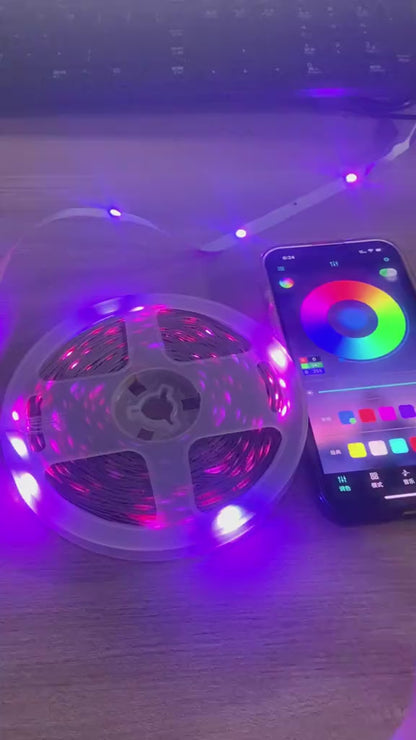 RGB LED Strip Lights with App/Remote Control