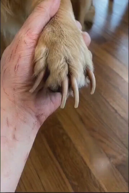 Electric Pet Nail Grinder with LED Light